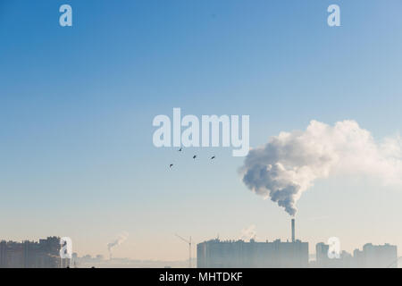 Au cours de la pollution en ville le matin glacial, Ecology concept. Prendre soin de l'woild. Ciel bleu clair et la fumée.factory tuyau dans le ciel nuageux. Vue industriel urbain avec des oiseaux. Banque D'Images