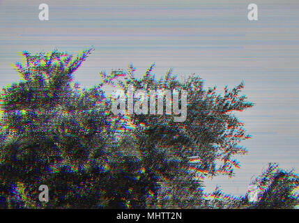 Image en noir et blanc d'un grenadier avec un effet glitch Banque D'Images