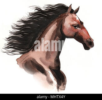 L'aquarelle d'un beau cheval brun avec une longue crinière noire Banque D'Images