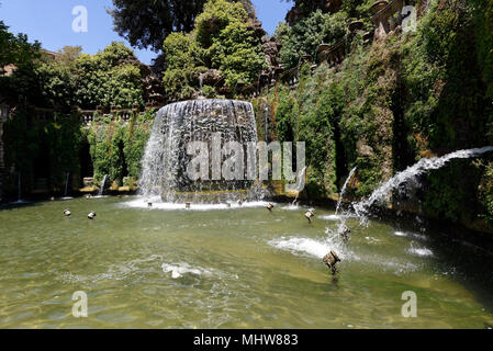 Le grandiose Fontana dell'Ovato ou fontaine ovale conçu par Pirro Ligorio au 16ème siècle, Villa D'Este. Tivoli. L'Italie. L'architecture fou Banque D'Images