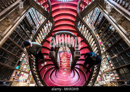 Escalier en bois courbé en bibliothèque, la Livraria Lello & librairie Irmão, Porto, Portugal, Europe Banque D'Images