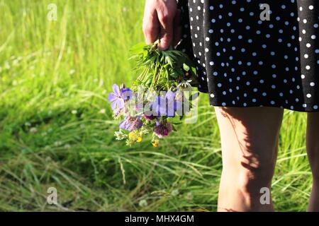 Bouquet de fleurs sauvages dans les genoux de la jeune fille Banque D'Images