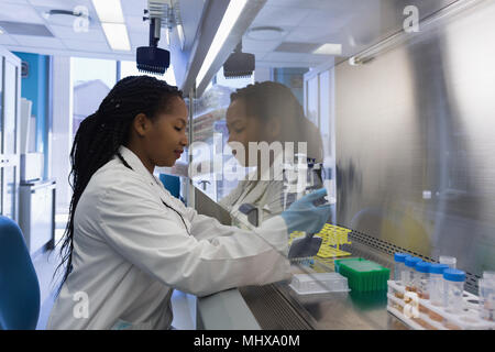 Scientist doing experiment in lab Banque D'Images