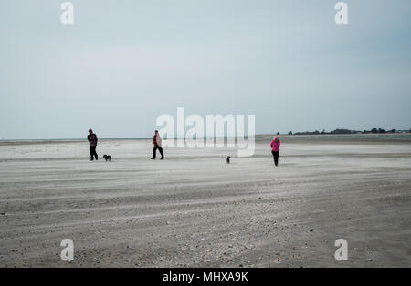 Jour de vent sur l'Hoe à West Wittering Sussex trois marcheurs deux chiens windswept beach journée ensoleillée la chasse-sable Banque D'Images