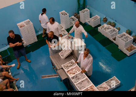 Anzio, Rome. Vente aux enchères de poisson dans le port, coopérative de pêcheurs. L'Italie. Banque D'Images