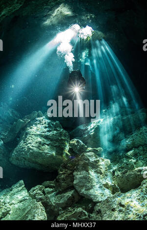 Plongeur mâle plongée dans une rivière souterraine (cenote) avec les rayons du soleil et les formations rocheuses, Tulum, Quintana Roo, Mexique Banque D'Images