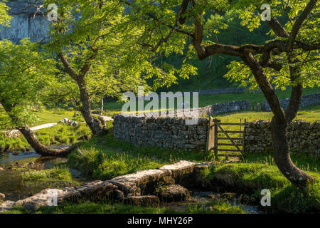 Malham Cove Malham Craven North Yorkshire Angleterre Banque D'Images