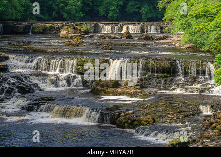 Aysgarth Falls supérieur Richmondshire North Yorkshire Angleterre Banque D'Images