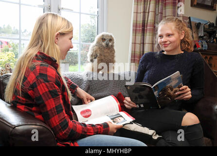 Benoît, l'eagle owl chick de Blair Drummond Safari Park, près de Stirling, avec Sasha (droite) et Keetah Boulton, les nièces de keeper Dave Warren. Banque D'Images