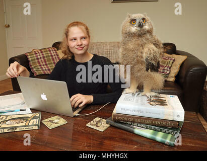 Benoît, l'eagle owl chick de Blair Drummond Safari Park, près de Stirling, à la maison de gardien Dave Warren, avec sa nièce avec Sasha Boulton. Banque D'Images