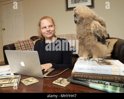 Benoît, l'eagle owl chick de Blair Drummond Safari Park, près de Stirling, à la maison de gardien Dave Warren, avec sa nièce avec Sasha Boulton. Banque D'Images