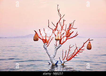 La main de décoration de citrouille d'eau (gourde calebasse) lampes suspendu à un arbre dans la mer au lever du soleil Banque D'Images