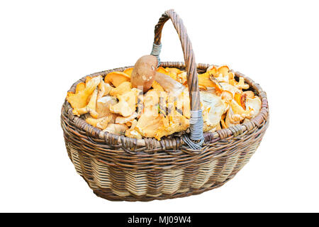Panier en osier rempli de champignons, isolé sur fond blanc Banque D'Images