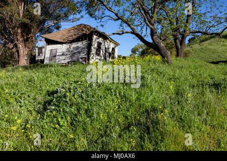 Un ranch maison abandonnée dans les limites du territoire Morgan Regional Preserve in California's eastern Contra Costa Comté. Banque D'Images