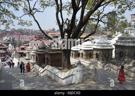 Katmandou, Népal - Mars 22, 2018 : escalier à Pashupatinath temple Banque D'Images