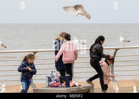 Vol de mouettes jetons de personnes marchant le long de la promenade sur le front de mer de Blackpool, Lancashire, Royaume-Uni. Banque D'Images