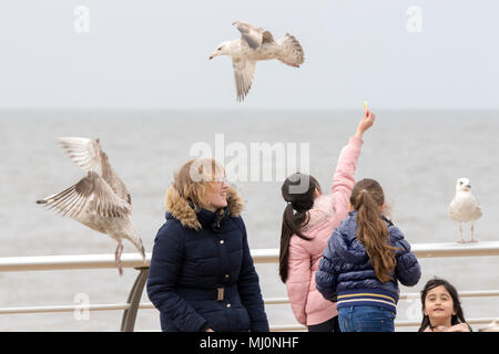 Vol de mouettes jetons de personnes marchant le long de la promenade sur le front de mer de Blackpool, Lancashire, Royaume-Uni. Banque D'Images