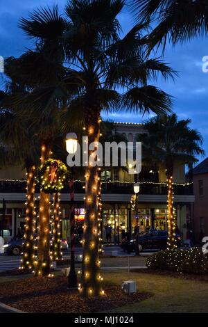 Les palmiers illuminés des fêtes à Saint Augustine, Floride-les nuits des lumières. Banque D'Images