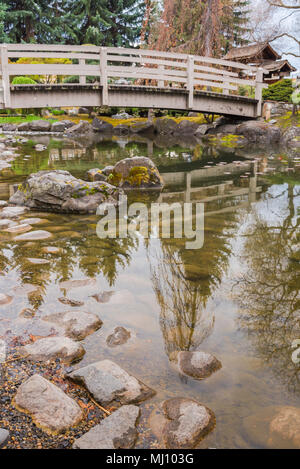 L'étang de koi et pont à Kasugui Gardens, un jardin japonais dans le centre-ville de Kelowna, BC, Canada Banque D'Images