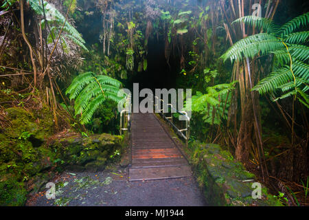 Hawaii Volcanoes National Park de lave Thurston Banque D'Images