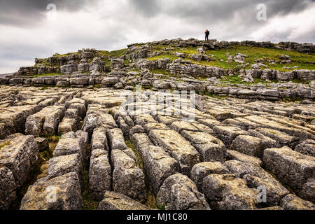 Karst calcaire chaussée à Malham Cove, Yorkshire Dales, Angleterre. Banque D'Images