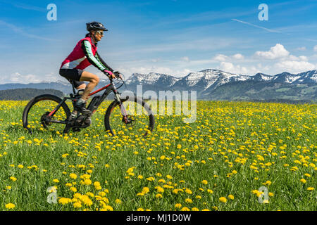 Printemps à VTT dans les montagnes de Bregenz, Autriche Banque D'Images