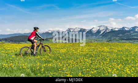 Printemps à VTT dans les montagnes de Bregenz, Autriche Banque D'Images