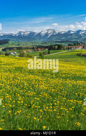 Printemps à VTT dans les montagnes de Bregenz, Autriche Banque D'Images