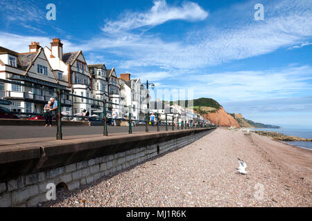 Hôtels et Esplanade de la plage, Sidmouth, l'est du Devon, Angleterre Banque D'Images