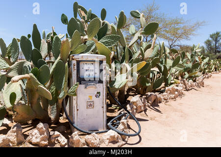 Ancienne pompe à essence avec fig cactus, station-village, désert de Namib, Namibie, Solitaire Banque D'Images