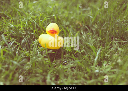 Un mignon petit canard en caoutchouc jaune Jouet flottant allongé sur l'herbe verte d'un jardin. Retro Vintage style mat Banque D'Images