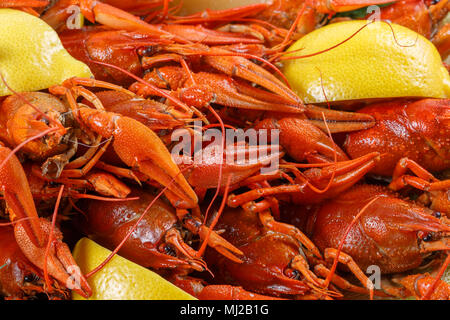 Beaucoup de langoustes bouillies rouge vif avec du citron close-up Banque D'Images