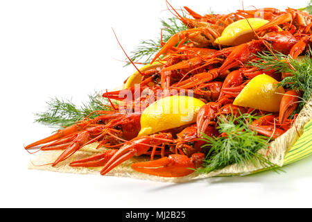 Bouquet de langouste bouillie rouge vif à l'aneth et citron sur un fond blanc close-up Banque D'Images