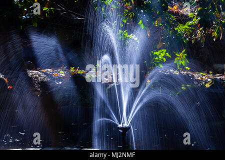 Petite fontaine dans un étang Banque D'Images