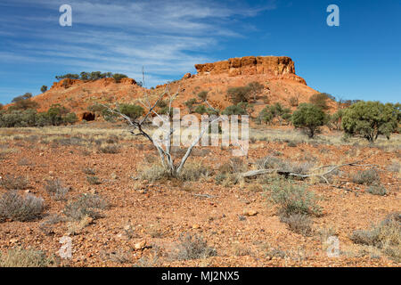 Lilleyvale Hills, Boulia, Queensland, Australie. Mesas rouges du Lilleyvale Hills à Cawnpore Lookout sur la route de développement de Kennedy entre Boulia Banque D'Images