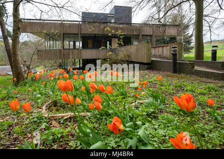 Selkirk, Ecosse, Royaume-Uni. 4 mai 2018. Campagne lancée pour sauver un bâtiment classé de grade, l'ancien studio de designer textile Bernat Klein en dehors de Selkirk, dans la région des Scottish Borders. Conçu par l'architecte Peter Womersley il est tombé en ruine. Credit : Iain Masterton/Alamy Live News Banque D'Images