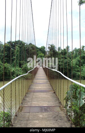 Pont suspendu en bois brun avec rivière et forêt sauvage Banque D'Images