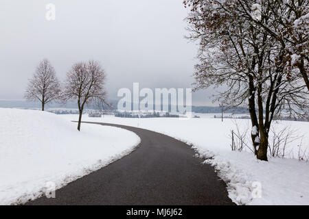 Une route sinueuse au milieu de la neige, avec quelques arbres sur les côtés Banque D'Images