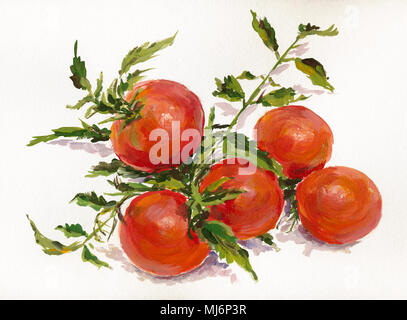 Tomates aquarelles peinture aquarelle, encore la vie, tomates sur fond clair. Banque D'Images