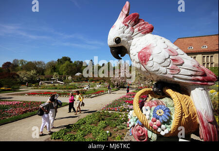 MUNICH, ALLEMAGNE - 20 AVRIL 2018 - Le Printemps au jardin botanique de Munich. Le jardin botanique a été créé en 1914 et cultive environ 14,000 speci Banque D'Images