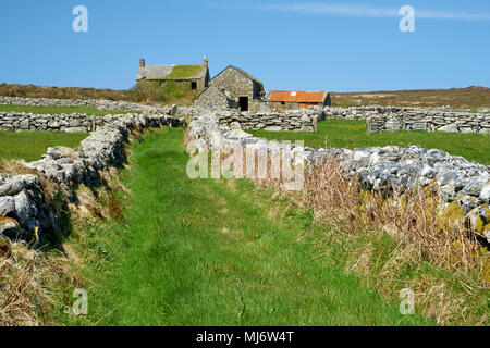 Les bâtiments agricoles à l'abandon des hommes à un âge de Bronze Tol pierres, Cornwall, UK. Construit au début du xxe siècle et du nom de la ferme du Couronnement (probablement Edward V11) Banque D'Images