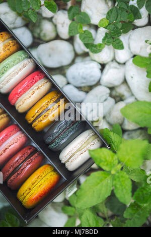 Couleur mixte macarons français sur fort mis sur la nature, la pierre blanche et feuilles vertes. Banque D'Images