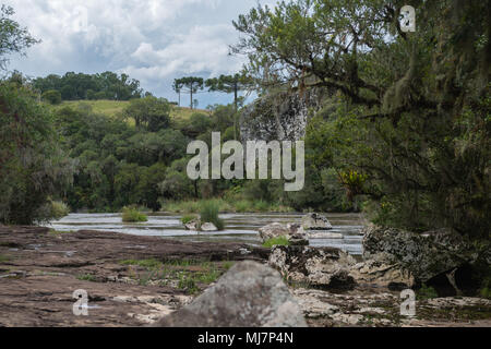 Cascades de Venancios, 'Cachoeira dos Venancios', Cambara do Sul, Rio Grande do Sul, le basilic, l'Amérique du Sud Banque D'Images