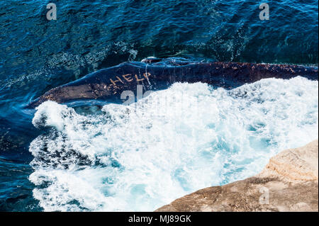 Un signe de l'aide de rayures dans les rochers sur les rives escarpées le long de la célèbre plage de Coogee à pied près de Bondi Beach, Sydney, New South Wales, Australie Banque D'Images