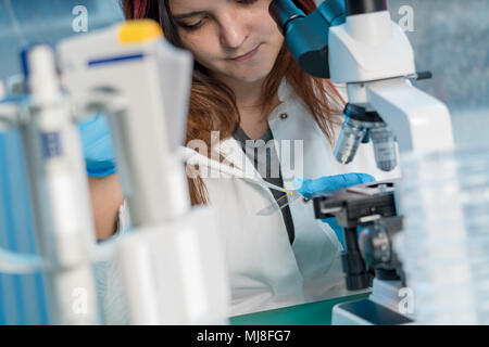 Jolie femme assistant de laboratoire à l'analyse d'un échantillon biologique à l'hôpital Banque D'Images