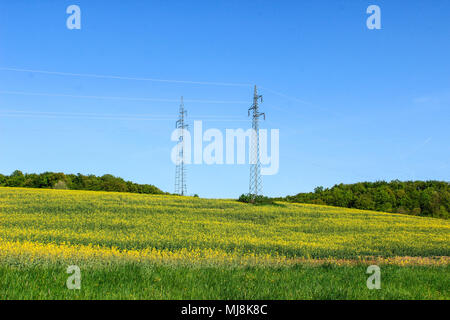 Les tours de transmission dans un champ de fleurs jaunes Banque D'Images