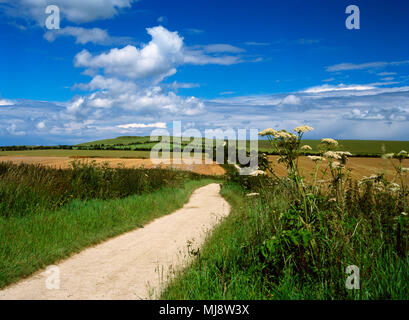 Le Ridgeway long distance path Uffington Castle approchant l'âge de fer fortin sur Whitehorse Hill dans le North Wessex Downs AONB, Oxforshire, Angleterre. Banque D'Images