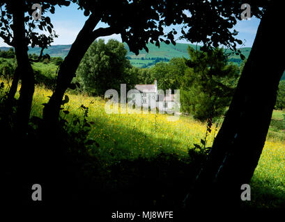 Castell Chalet, montagne, Cilcain Ffrith, Flintshire, au nord du Pays de Galles. Gîte rural vernaculaire traditionnelle avec l'extension. À l'ouest du nord du sentier. Banque D'Images