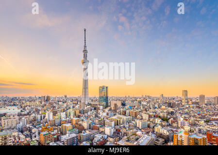 Tokyo, Japon cityscape et tour au crépuscule. Banque D'Images