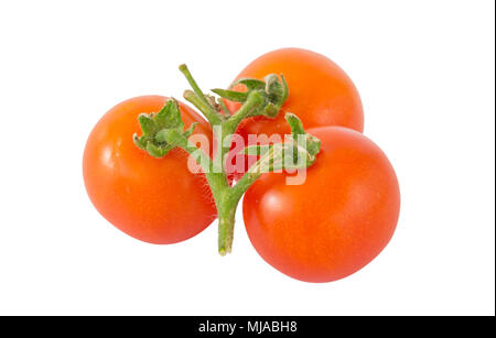 Tout le tas de tomates isolé sur fond blanc Banque D'Images